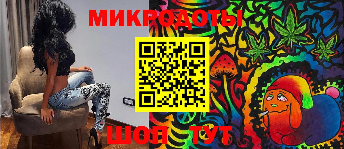 Псилоцибиновые грибы Psilocybe Улан-Удэ