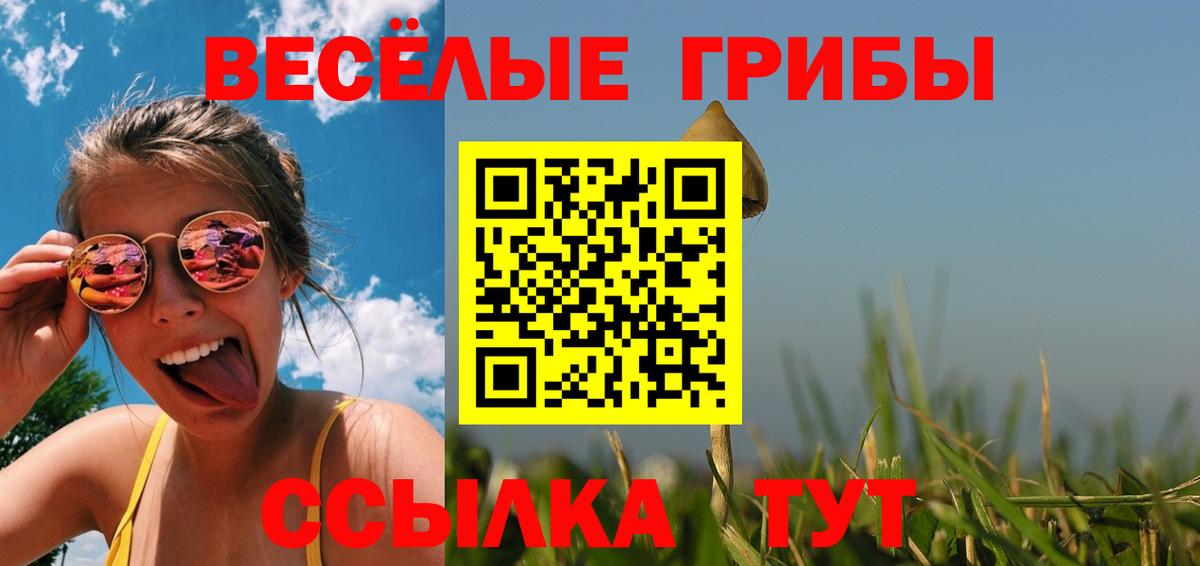Псилоцибиновые грибы MAGIC MUSHROOMS  Вход с VPN  Улан-Удэ 