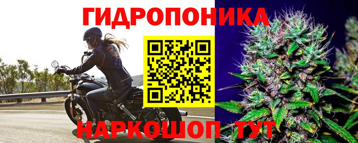 Улан-Удэ  МАРИХУАНА конопля  МАРИХУАНА гибрид  Бошки Шишки LSD WEED  Вход с VPN 
